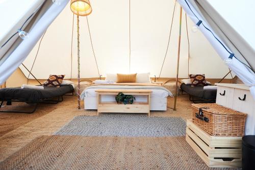 Pine Country Caravan Park - Mount Gambier Pine Country Caravan Park - Mount Gambier