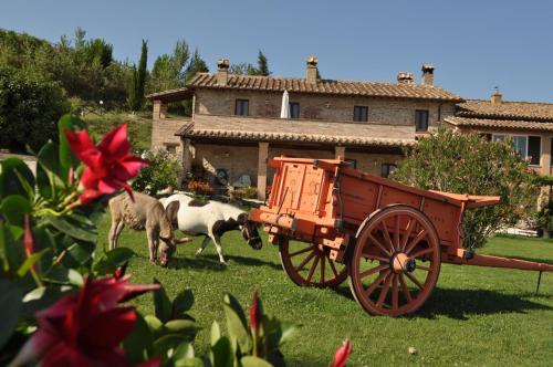  Farm stay Il Carro del Colle, Collevalenza bei Monte Molino