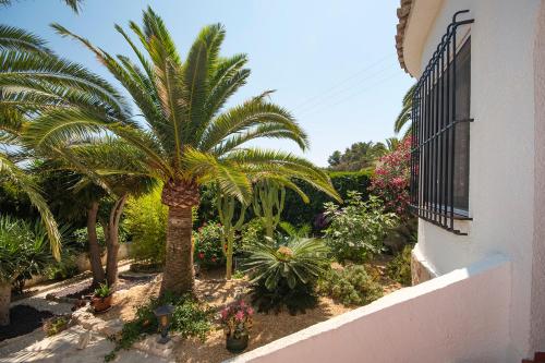 Villa Lagarta by Holiday Rentals Villamar - image 3