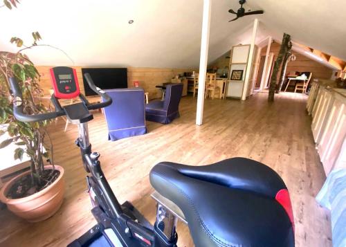 La Colmena eco lodge