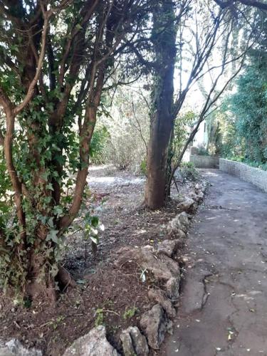 Home of author of the famous Jungle Book in Maidencombe