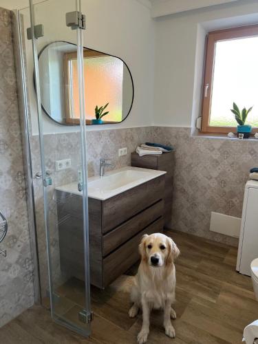 MILLIEs hosting - Familienurlaub mit Hund in Kärnten, Sankt Paul im Lavanttal (zdjęcie 9)
