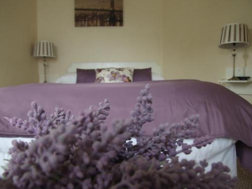 Oaklodge B&B - image 4