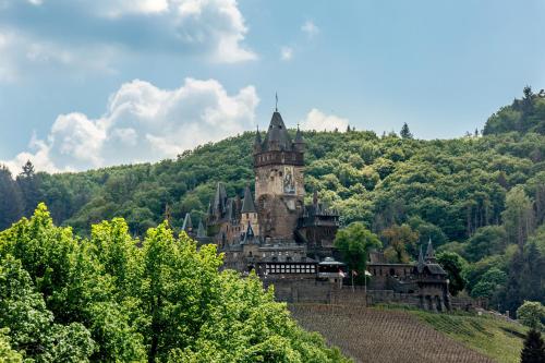 Hotel Villa Vinum Cochem - image 14