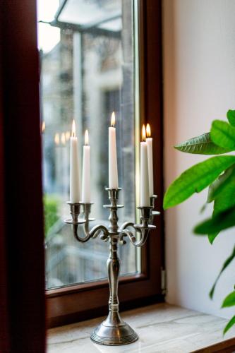 Hotel Villa Vinum Cochem - image 10