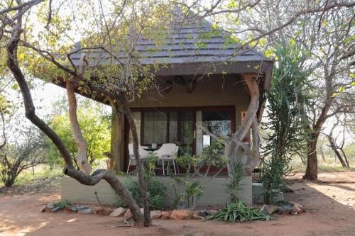 Tshukudu Game Lodge in Hoedspruit