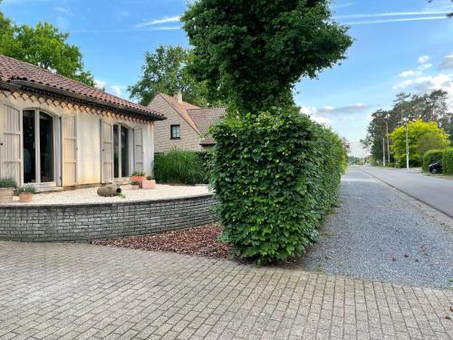 Viesnīcas āriene, B&B Monroe in Zičemsvelda