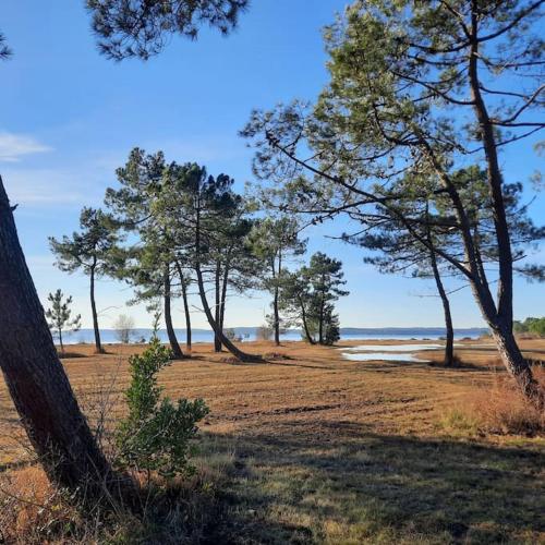 Lacanau-Océan T3 terrasse 50m2 au sein d'un complexe touristique