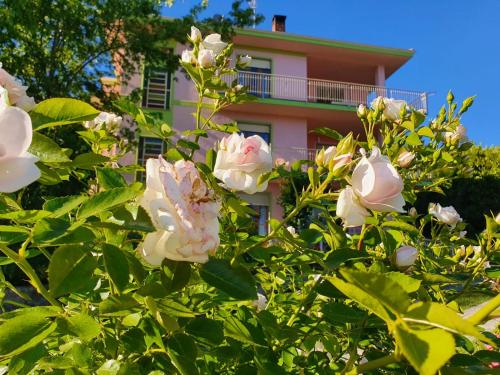  Fiori e Frutti Appartamenti, Pension in Almese bei SantʼAntonino di Susa