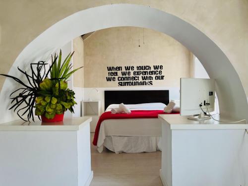 Casa Blanco - main image