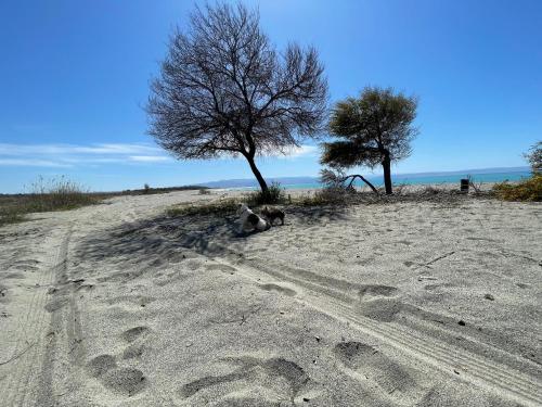 Apkārtne, Casetta al mare MariaTeresa in Nočera Terinēze