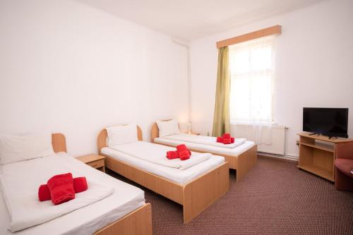 绿屋旅馆 绿屋旅馆