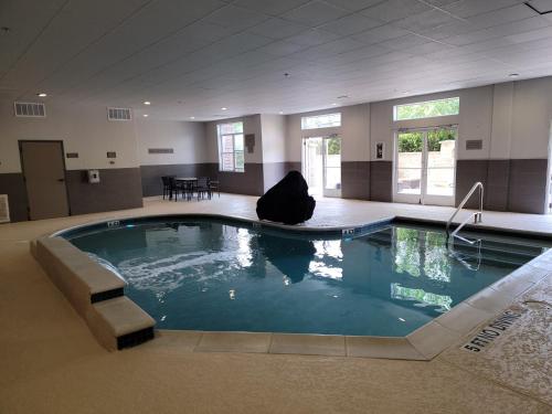 Swimming pool, Country Inn & Suites by Radisson, Houston Intercontinental Airport East, TX in Humble