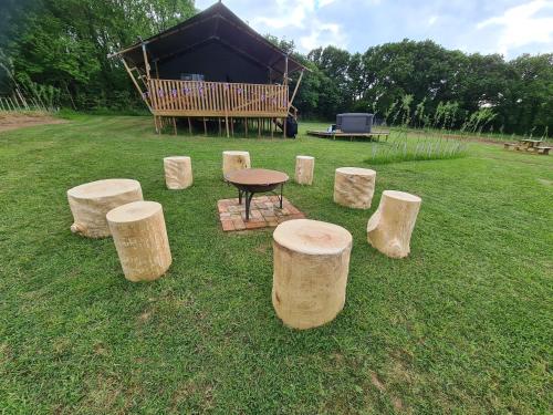 Violet at Sunsets and Marshmallows gîte à louer Throwleigh
