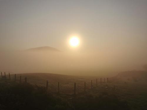 Glen Bay - 2 Bed Lodge on Friendly Farm Stay with Private Hot Tub