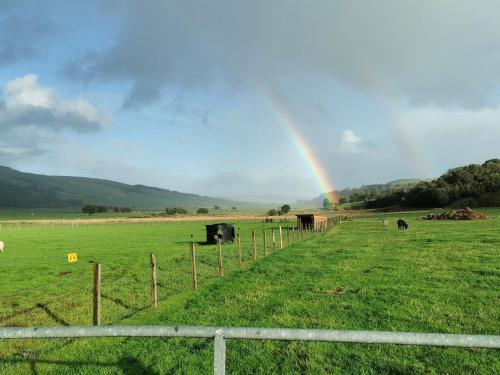 Glen Bay - 2 Bed Lodge on Friendly Farm Stay with Private Hot Tub