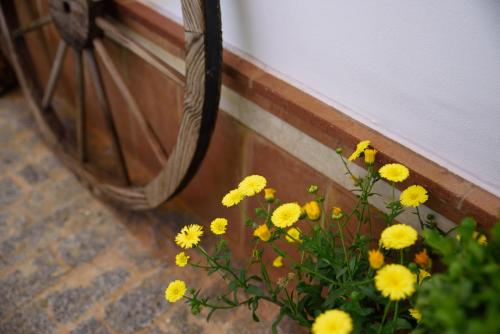 Hostal Rural Santa Habitaciones Aldea del Rocio