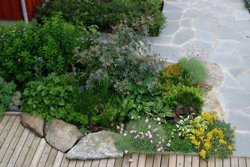 Ballstad Delicate Ocean Front House - Rorbu style Ballstad Delicate Ocean Front House - Rorbu style