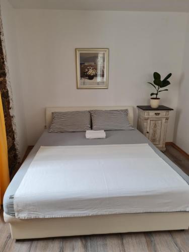 Rustic, Senj (Segna) (foto 7)