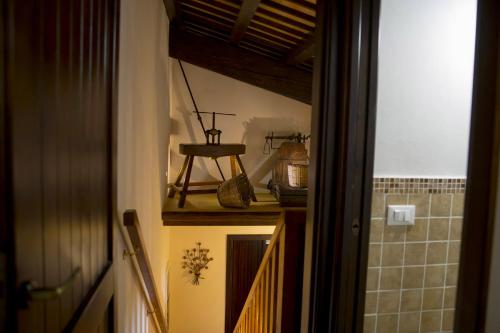 B&B Sabir - image 5