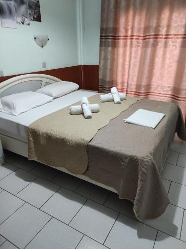 Hotel Elena in Edessa