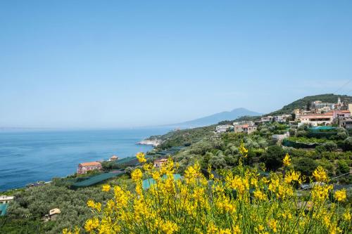 Neva Suites Massa Lubrense Sorrento Coast