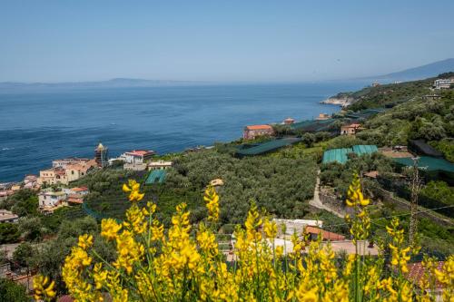 Neva Suites Massa Lubrense Sorrento Coast