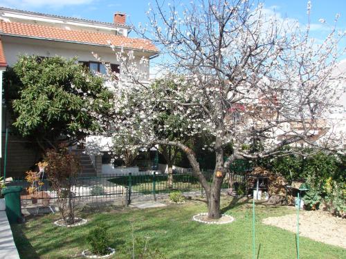 Apartment Svagi - image 11