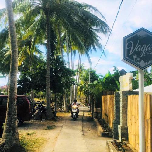 The Vagary Vibes photo