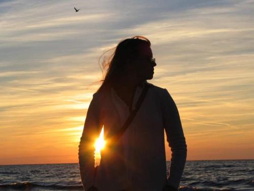 Domki Pod Złotym Dębem Domki Pod Złotym Dębem