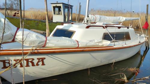 Domki Pod Złotym Dębem Domki Pod Złotym Dębem