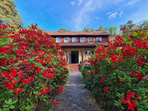 トゥチュノ Pasjonat Tu 3つ星 ホテル プール