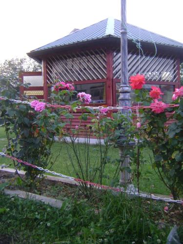 Twin Room with Garden View