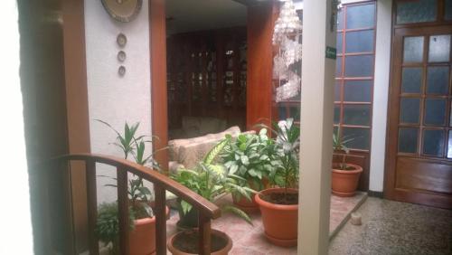 Facilities, Mariana's Petit Hotel near La Aurora International Airport