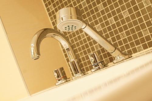 Hotel Avance - image 9