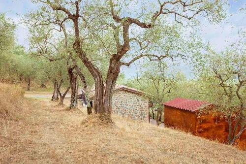 Il Capanno di Battaglia gîte à louer Sinalunga