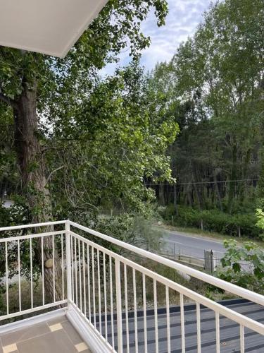Alexa Beach Apartment in Velipoje