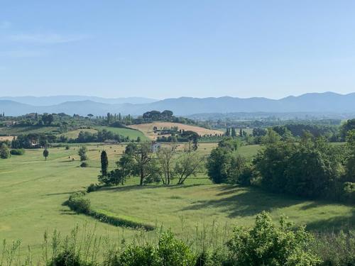  Locazione turistica Casa olivo in Fucecchio