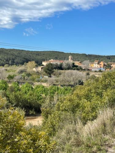 Casa rural con jardín,a 8km playa y en la naturaleza Taronja&canyella