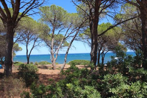 Maiorca Sea-view Apartment