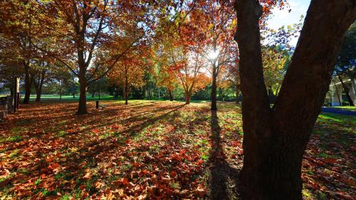 สภาพแวดล้อมโดยรอบ, คาวร่า มอเตอร์อินน์ (Cowra Motor Inn) in คอวร่า