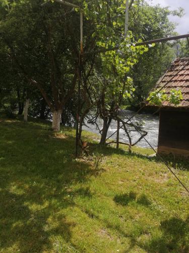Studio by the river Studio by the river