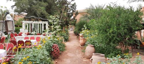 Paradise in the desert of Morocco