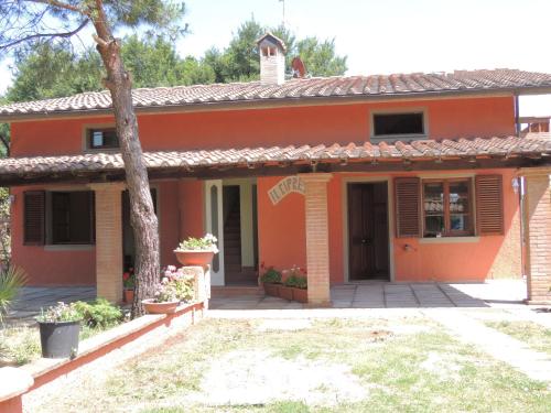  Il Cipresso del Gallo in Montecatini Terme