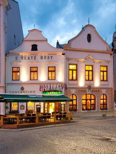 Hotel Concertino Zlatá Husa - Jindřichův Hradec