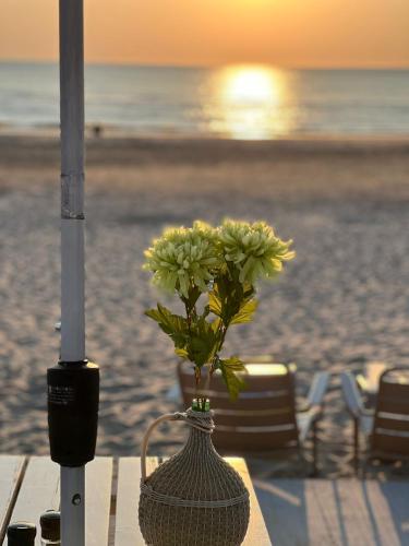 Strand, Appartementen Zer en Loft in centrum Bergen in Bergen-Centrum