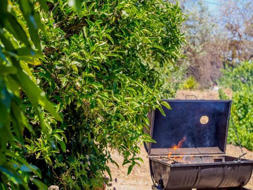 Cubo's Estudio El Encanto de Coín - Apartment