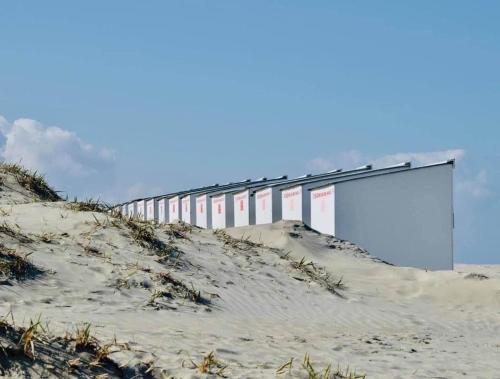 Maison Fleur, Nieuwpoort (foto 8)