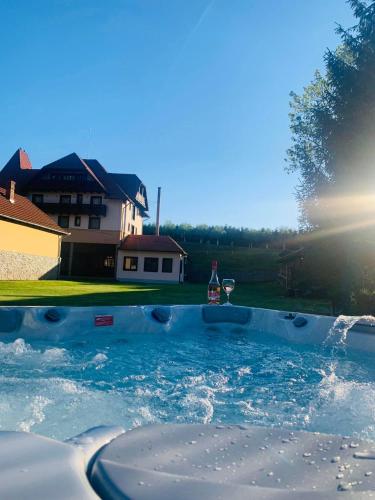 Плувен басейн, VILLA GHERMAN in Salciua