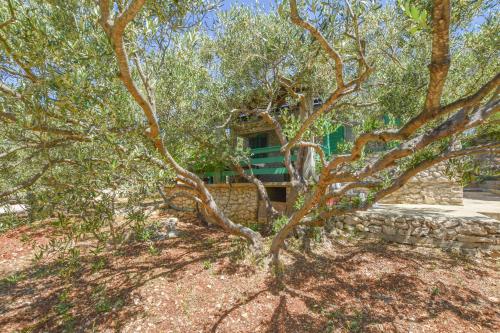 House OLIVA - image 12